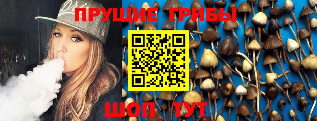 Шелехов  Галлюциногенные грибы мухоморы  купить  сайты  Вход с VPN 