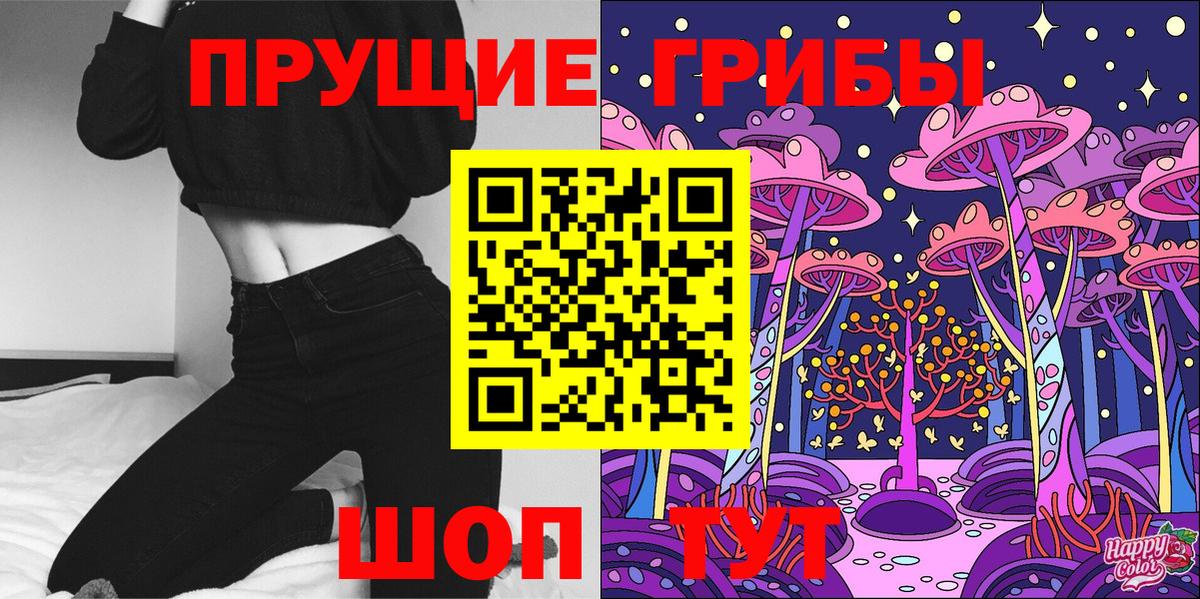 Псилоцибиновые грибы Psilocybe Шелехов